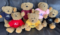 Heliflight Teddy Bear